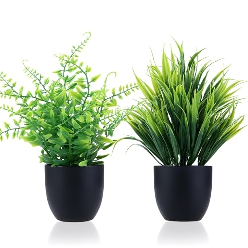 GREENTIME 2 Pack Fake Plants in Black Pot Small Artificial Plant Wheat Grass for Home Decor Faux Fern Greenery Indoor Bathroom Shelf Home Office Desk Bedroom Cabinet Kitchen Table Decorations - color: Black-2