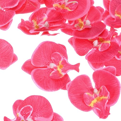 M METERXITY 20-Pack Artificial Orchid Flower Heads, Silk Faux Butterfly Flowers Head for Wedding/Bouquet/Bridal/Party Decor, Fake Phalaenopsis Petals Bulk [2.76 Inch, Rose Red] - color: Rose Red, size: 2.76 Inch