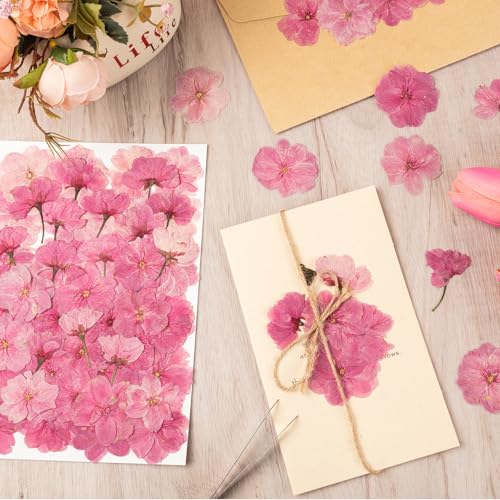 101 PCS Pressed Cherry Blossom for Crafts, Pink Dried Pressed Flowers for Resin DIY Jewelry Making Cake Card Scrapbook Decor, Dried Sakura Flowers for Soap Candle Making - size: Cherry