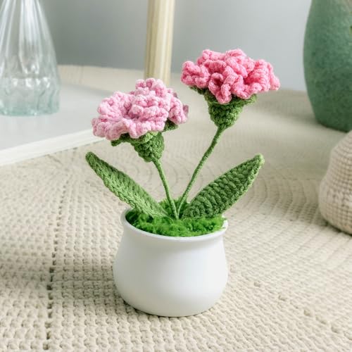 Joekaran Crochet Flowers Cute Little Potted Flower, Birthday Gifts for Women, Mother's Day, Teacher’s Day, Graduation, Anniversary, Desk Decor, Home Office Decoration (Rose red Gradient Carnation) - color: Rose Red Gradient Carnation