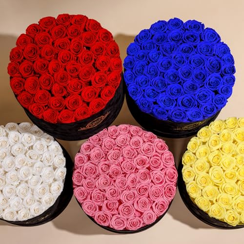Prifroti 47 Roses in a Luxury Suede Box, Preserved Flowers for Women, Mothers Day Flowers for Mom, Light Pink - color: Light Pink, size: 47 Roses