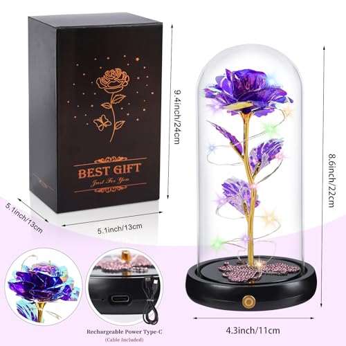 Gifts for Mom Birthday Gifts for Women Purple Rose Eternal Flower USB Light Up Rose in Glass Dome Anniversary Flowers for Delivery Prime Galaxy Crystal Flowers Gifts for Mom Women Wife Grandma - color: Usb-purple