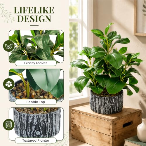 Der Rose 15.7" Artificial Plants Indoor, Money Leaf Fake Plants in Pot for Desk Shelf Office Bedroom Apartment Decor - color: 1pack-green Style a