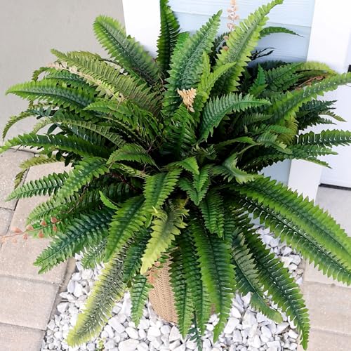 CQURE 50" Large Fake Fern Artificial Ferns for Outdoors,96 Fronds Realistic Artificial Boston Ferns Bush Plant for Indoor Garden Porch Decor (Lifelike,UV Resistant,No Maintenance) - size: 50" 96 Leaves-1pc