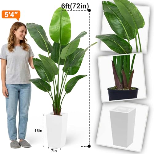 Aveyas 6ft Artificial Bird of Paradise Tree for Home Decor, 6 Feet Faux Floor Plant Fake Silk Banana Leaf Tropical Trees with Pot for Indoor Outdoor House Living Room (6 ft Tall Including Raised Pot) - color: Bird of Paradise Tree (6ft)