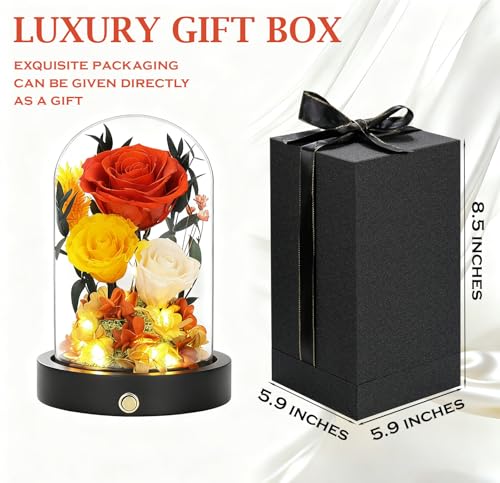 Preserved Roses in Glass Dome, Forever Flowers for Delivery, Yellow Rose Valentines Day Anniversary Birthday Gifts for Wife Women Her Orange Flowers - color: New Orange