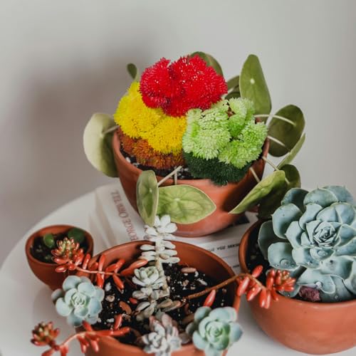 4PCS Artificial Succulent Flower, Plastic Plants Green Artificial Plants for Home Garden, Party, Bedroom Office, Wedding (Red) - color: Red, size: 4PCS