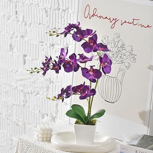 Faux Orchid in Vase Artificial Orchid in Ceramic Vase Tall Silk Orchids with Stems Real Look Phalaenopsis Flowers Arrangement Centerpiece Table Decorations for Home Decor Indoor, Dark Purple - color: Y-dark Purple