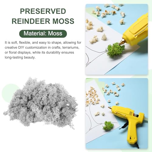 MECCANIXITY 3oz Preserved Reindeer Moss, Light Grey Decorative Artificial Fake Moss for Potted Plants Indoor Crafts Lichen Centerpieces Decor - color: Light Grey, size: 3oz