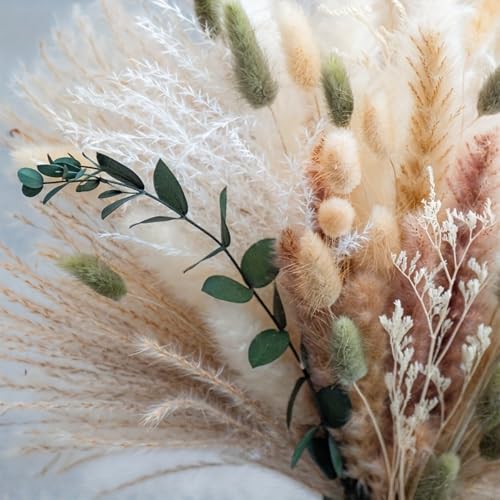 Spring White Dried Flower Bouquet with Pampas Grass – Soft Neutral Floral Arrangement for Home, Wedding Tables and Events 17 Inch (Pure White) - color: Pure White
