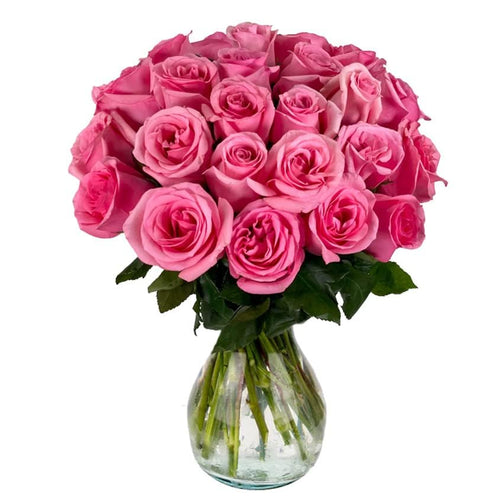 25 Pink Roses | Arabella Bouquets | Real Fresh Flowers for Delivery, Gift for Birthday Women, Congratulations, Anniversary, Thank You, Mother's Day - color: Pink, size: 25 Stems