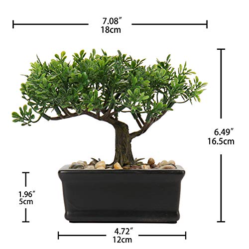 Artificial Bonsai Tree Juniper Faux Plants Indoor Small Fake Plants Decor with Ceramic Pots for Home Table Office Desk Bathroom Shelf Bedroom Living Room Farmhouse Decorations - style: 6" Ficus