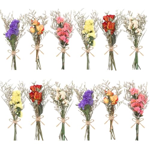12/24 Pack Dried Flowers for Vase Various Mini Bouquet Dried Small Wildflowers Natural Real Flowers Bulk for Crafts DIY Wedding Decor (12, Forget Me Not) - size: Forget Me Not