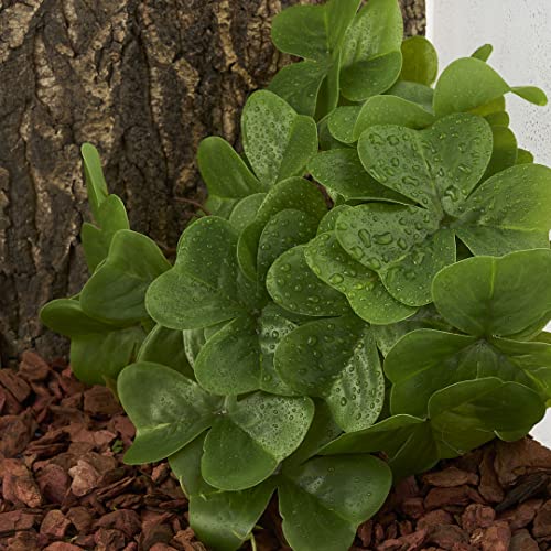 Reptile Plants for Terrarium, Amphibian Habitat Decor Artificial Hanging Plants with Suction Cup - Fake Shamrock - color: Fake Shamrock