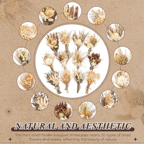 Layhit 24 Pcs Boho Dried Flower Bouquet Mini Wedding Handmade Dry Flowers Decor for Vase Crafts DIY Photo Boutonniere for Men Floral Plant for Bridesmaid Gift Birthday Decor(Stylish) - style: Stylish