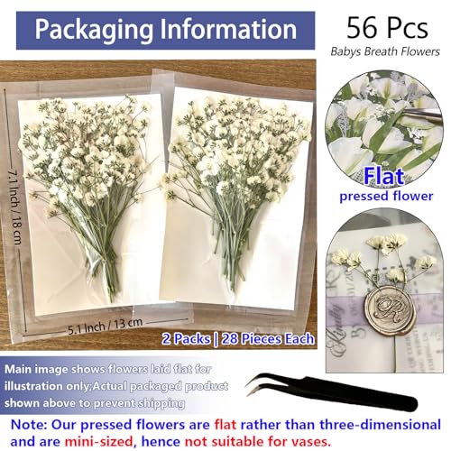 56Pcs Babys Breath Mini Dried Pressed Flowers for Crafts, Real Natural Flat White Dry Flowers Bulk for DIY Wedding Invitation, Resin Art, Card, Bookmark, Scrapbook, Jewelry, Frame, Candle, Soap Making - color: White Baby's Breath 56pcs