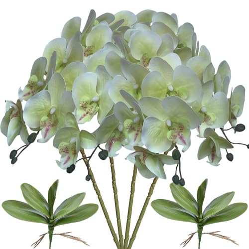 FagusHome 32" Artificial Phalaenopsis Flowers 4 Pcs with 2 Bundles Leaves Artificial Orchid Flowers Stem Plants Fake Butterfly Phalaenopsis Flowers for Home Wedding Party Décor (Light Green) - color: Light Green