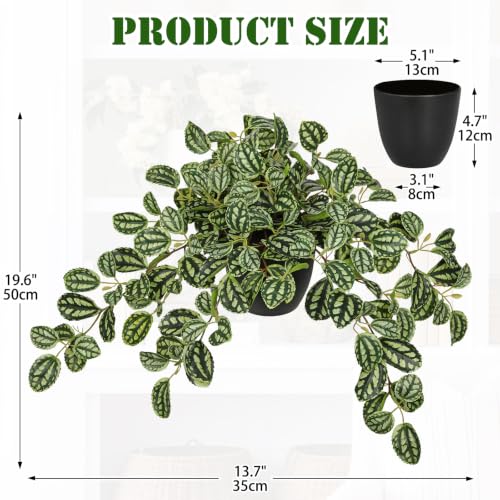 Briful Artificial Potted Plant Indoor, 19.6" Faux Watermelon Peperomia Trailing Plant in Black Pot, Realistic Fake Plants with Cascading Green Leaves for Shelf Bathroom Office Desk Kitchen Home Decor - color: Dark Green Grid