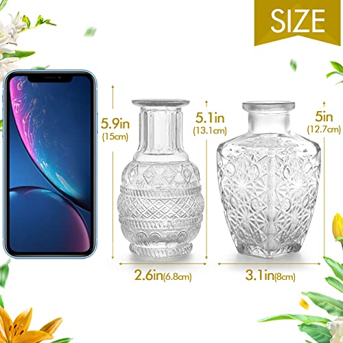 Glass Vase Bud in Bulk Set of 2,Vintage Flower Bottle Small Bud Vases for Floral Arrangements, Home Decor,Wedding Centerpiece,Table Decor,Decorative Centerpiece,Dinning(Set of 2) - color: Clear-2