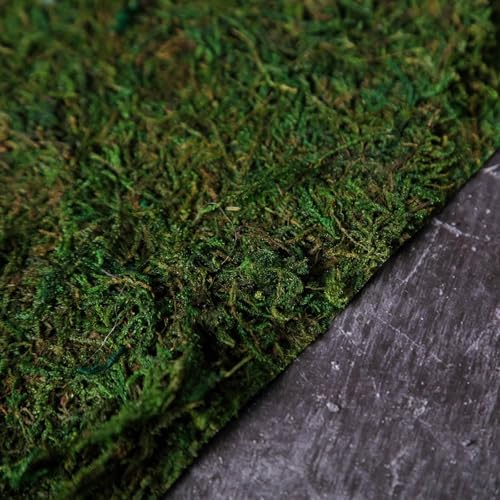 Tableclothsfactory 18" x 16" Preserved Natural Moss Roll Faux Green Living Wall Foliage Green Garden Wall Mat - color: Moss