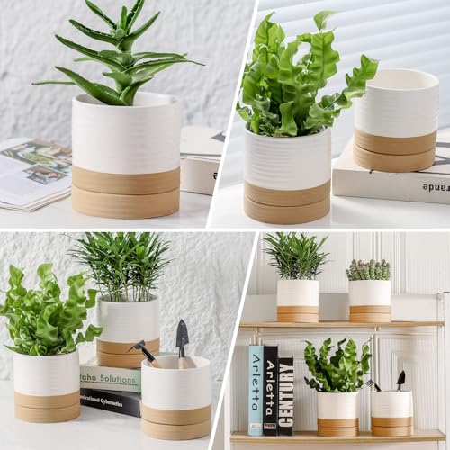 HASENSE Ceramic Plant Pots with Saucers Set of 4, 4.6 Inch Planters for Indoor Plants with Drainage Holes,Two-Tone White Flower Pots for Succulents, Snake Plants & Cactus, Farmhouse Desktop Decor - color: White