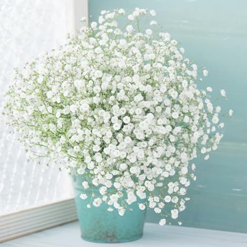 380 Pcs Baby Breath Artificial Flowers Fake White Baby Breath Flower Artificial Bulk Real Touch Faux Gypsophila Bouquet for Wedding Floral Arrangement Centerpieces Table Decoration - size: 380 PCS