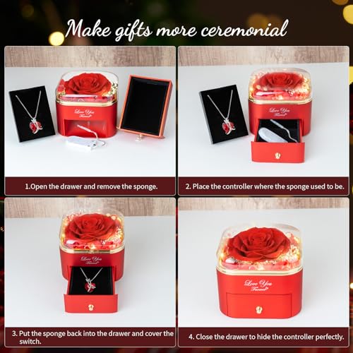 ENERLEAF Preserved Red Real Rose with Necklace Jewelry Box -Eternal Flowers Rose Gifts for Grandma Wife Girlfriend on Valentines Mothers Day Christmas Birthday Anniversary Romantic Gifts for Her - color: Red
