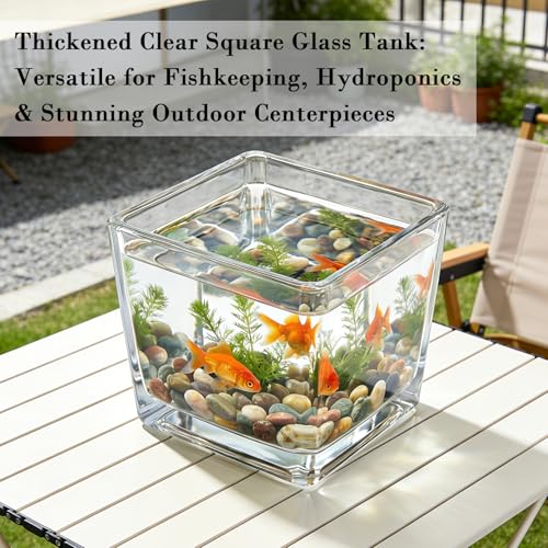 4 Pack Square Glass Vase 6" x 6" x 6", Clear Flower Vase for Centerpieces,Plant Terrarium, Floating Candle Holder for Wedding Centerpieces, Office Decorations, Home Décor, Parties and Events - size: 6"-4Pack