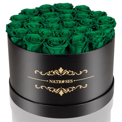 NATROSES Gifts for Her 27 Piece Forever Preserved Roses in a Box, Preserved Flowers for Delivery Birthday, Flowers Gifts for Mothers Day, Forest Green - color: Forest Green, size: 27 Roses