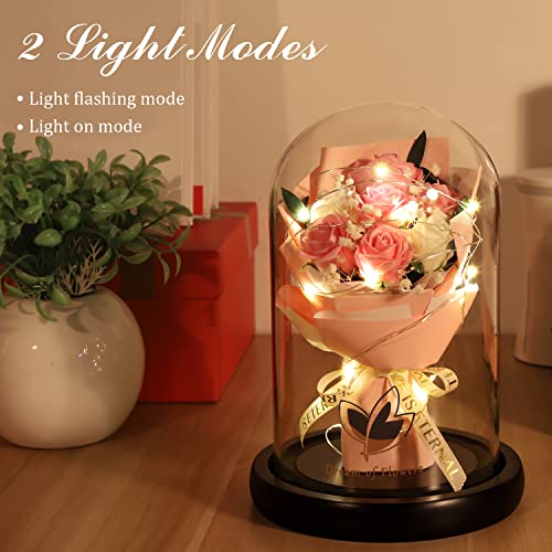 Mothers Day Rose Gifts, Flower Gifts for Women,Rose in Glass Dome with 2 Light Modes,Light Up Rose Flowers,Valentines Anniversary Birthday Gifts for Women, Mom, Wife, Girlfriend - color: Romantic Rose