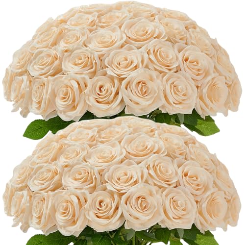 50Pcs Champagne Roses Artificial Flowers Artificial Silk Roses Bulk,Fake Roses Flower with Stems Realistic Flowers for Wedding Centerpiece Home Party Decor - color: 50pcs Champagne
