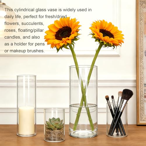 Glass Cylinder Vase,10 Pack Glass Flower Vases,Hurricane Floating Candle Vases for Centerpieces Tables,Tall Cylinder Clear Vase for Centerpieces Wedding Party Home Décor - size: Smooth Set-10PCS
