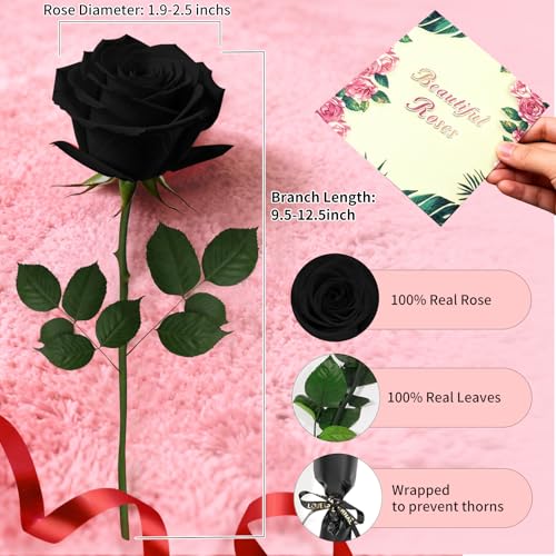 Black Single Forever Roses in a Box,Preserved Flowers for Delivery,Preserved Rose Gifts for Women, Real Roses Gift for Her, Mom Birthday Gifts, Mothers Day Flowers,Valentines Flowers,Presents for Her - color: Black-window