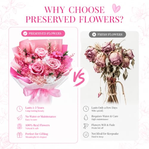 Preserved Pink Rose Bouquet, 100% Real Flowers for Women Mother Wife, Long-Lasting Eternal Roses with Gift Box, Forever Flowers for Anniversary Birthday Mother's Day, Lasts 3-5 Years - color: Soft Pink
