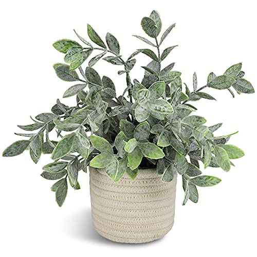 Hopewood Faux Plants, Small Fake Plant for Bathroom, Decorative Artificial Plants for Farmhouse Desk Shelf Decor with A Weave Basket (9.8inch) - color: Green Plant Style a