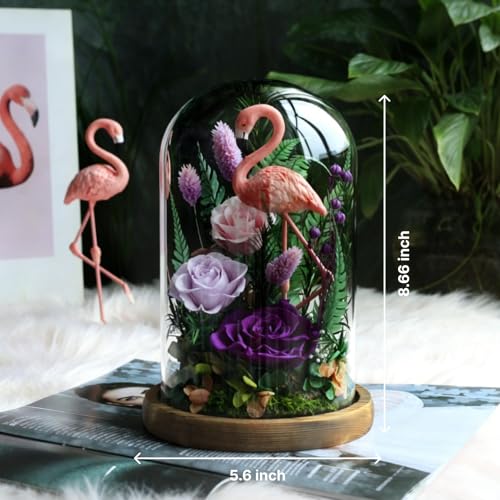 Eternal Flowers with Flamingo-Big Flower Big Love- Graduation Flowers Gifts for Daughter Wife Mom-Forever Flower in Glass Dome-Flowers for Delivery Prime on Anniversary Valentines Birthday (Purple) - color: Purple3