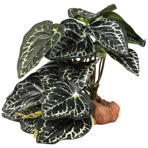 Reptile Plants for Terrarium, Ball Python Tank Decor Accessories fit Bearded Dragon Crested Leopard Gecko Lizard Chameleon Snake Frog Tortoise Hermit Crab - Fake Anthurium Crystallinum - color: C-fake Anthurium Crystallinum