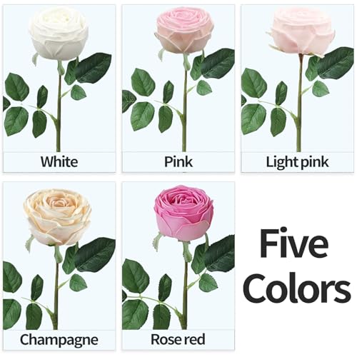 5Pcs Mutil-Color Real Touch Silk Flowers - Lifelike Roses Peony | Lifelike roses & peonies with soft latex touch, no watering needed. Perfect for wedding bouquets, home decor & DIY - color: Champagne,light Pink,white,pink,rose