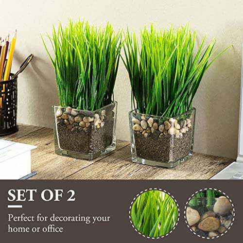 MyGift Artificial Grass Plants in Modern Square Clear Glass Pots with Faux Pebbles and Soil, Decorative Potted Greenery Plant in Tabletop Planter, Set of 2 - color: Clear (Square)