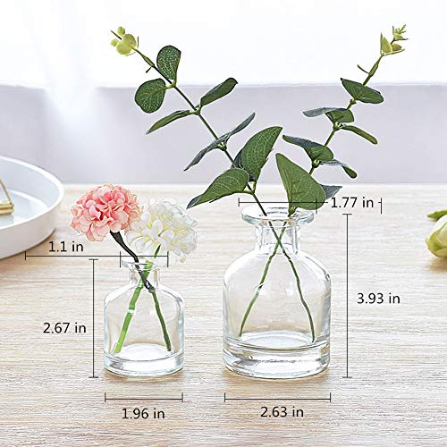 Set of 3 Mini Clear Glass Vase,Small Flower Bud Vase Hydroponics Planter Decorative for Flower,Table,Party,Home,Centerpieces(clear 1) - color: Clear 1