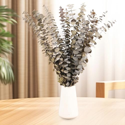 Tavkite 16 Pcs Dried Eucalyptus Stems, 17'' Natural Fresh Eucalyptus Leaves Branches Hanging for Shower, Preserved Real Plant Live for Home SPA Wall Bathroom Wedding Party Vase Decor - color: Natural