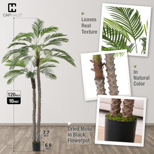 CAPHAUS 10FT Artificial Phoenix Palm Tree, Double Stem Faux Palm with Black Pot, Realistic Fake Plant for Indoor Outdoor Home Office Patio Décor, Low Maintenance Large Artificial Palm Tree - size: 10ft