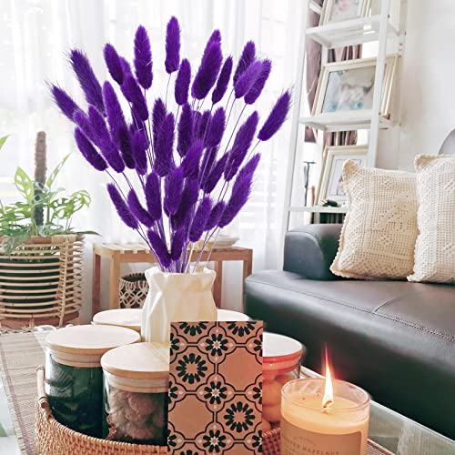 Uieke 17’’ Natural Bunny Tails Dried Flowers, 50 Pcs Dried Lagurus Ovatus, Dried Purple Pampas Grass Decor for Farmhouse Flower Arrangements Wedding Home Craft Boho Party Decorations - color: Purple-50pcs
