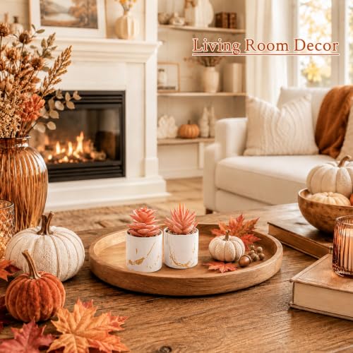 Der Rose Set of 2 Fall Artificial Succulent Plants, Mini Fake Succulents, Fall Decorations for Office Desk Bathroom Shelf Bedroom, Thanksgiving Decor - color: 2-orange