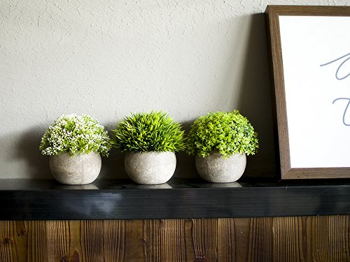 Opps Artificial Plastic Mini Plants Unique Fake Fresh Green Grass Flower in Gray Pot for Home Décor – Set of 3 - color: White & Green