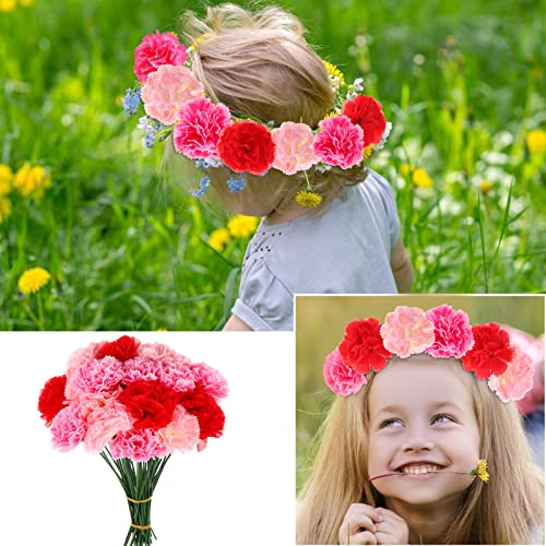 120 Pack Artificial Carnations with Stems Leaves Eternal Blossom Silk Carnation Flower Artificial Pom Pom Mini Hydrangea Birthday Party for Home, Wedding(Scarlet, Pink, Light Pink) 5g6e8t1sm19