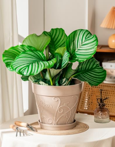 Melphoe Plant Pots Indoor with Drainage & Saucer, 2Pack 10 inch Flower Pots Outdoor Planters for Indoor Plants Garden Home Decor Cactus Succulent, Rigid Plastic (Imitation-Terracotta) Vine-Embossed - color: Undecorated Pottery Color, size: 10''
