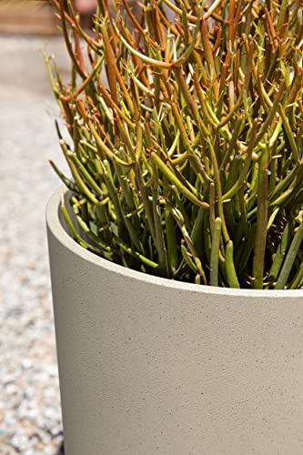 Veradek Mason Series Lima Planter - Round Planter for Indoor or Outdoor Porch/Garden | Made from Plastic-Stone Composite with Drainage Holes | Modern Décor for Succulents, Flowers, Small Plants - color: Sand, size: 10 inches - 2 Pack