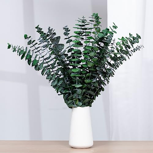 Tavkite 16 Pcs Dried Eucalyptus Stems, 17'' Natural Fresh Eucalyptus Leaves Branches Hanging for Shower, Preserved Real Plant Live Greenery for Home SPA Wall Bathroom Wedding Party Vase Decor - color: Green
