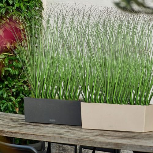 FOIMAS 12pcs Artificial Grass Plants,19.68" Faux Shrubs Wheat Grass Greenery Stems Fake Plants for Indoor Outdoor Home Decoration - size: 19.68